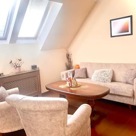 Spacious And Cozy Penthouse Διαμέρισμα Σόφια