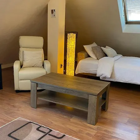 Spacious And Cozy Penthouse Διαμέρισμα