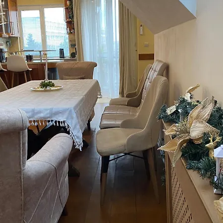 Spacious And Cozy Penthouse Διαμέρισμα